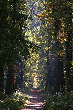 Der Tod als „Ansporn im Leben“ 