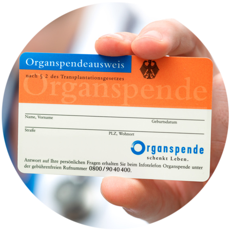 Organspende